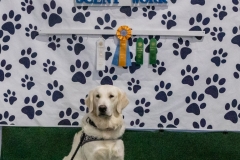 2022-March-Scent-Trial-1209