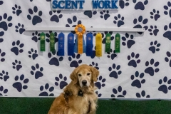 2022-March-Scent-Trial-1217