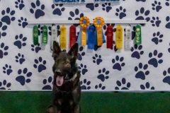 2022-March-Scent-Trial-1228