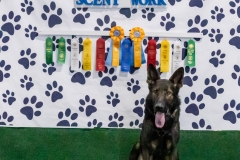 2022-March-Scent-Trial-1232