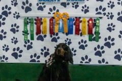 2022-March-Scent-Trial-1246