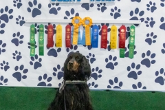 2022-March-Scent-Trial-1250