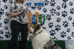 2022-March-Scent-Trial-1287