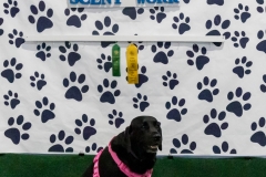 2022-March-Scent-Trial-1294