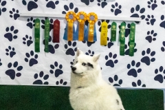 2022-March-Scent-Trial-1304