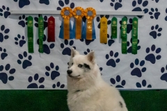 2022-March-Scent-Trial-1305