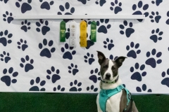 2022-March-Scent-Trial-1314