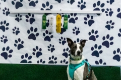 2022-March-Scent-Trial-1317