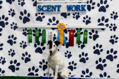 2022-March-Scent-Trial-1324