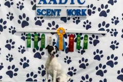 2022-March-Scent-Trial-1325