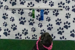 2022-March-Scent-Trial-1330