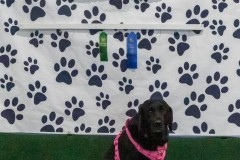 2022-March-Scent-Trial-1332