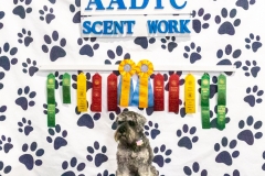 2022-March-Scent-Trial-1335