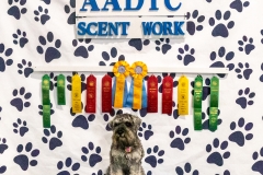 2022-March-Scent-Trial-1338