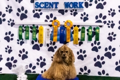 2022-March-Scent-Trial-1351