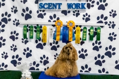 2022-March-Scent-Trial-1356