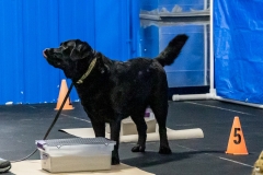2022-March-Scent-Trial-146