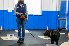 2022-March-Scent-Trial-148