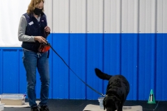 2022-March-Scent-Trial-154