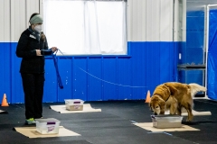 2022-March-Scent-Trial-158