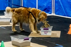 2022-March-Scent-Trial-160