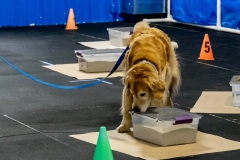 2022-March-Scent-Trial-161