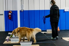 2022-March-Scent-Trial-163