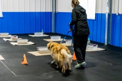 2022-March-Scent-Trial-166-2