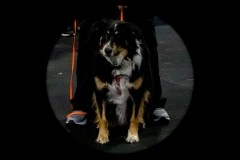 2022-March-Scent-Trial-173