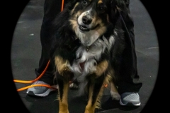 2022-March-Scent-Trial-174