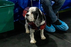 2022-March-Scent-Trial-175