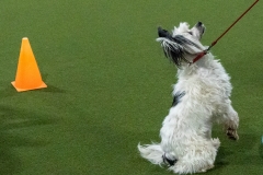 2022-March-Scent-Trial-176