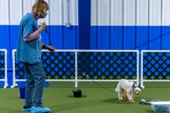 2022-March-Scent-Trial-177