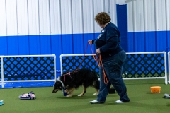 2022-March-Scent-Trial-181