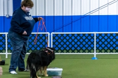 2022-March-Scent-Trial-183