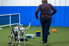 2022-March-Scent-Trial-188