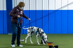 2022-March-Scent-Trial-189