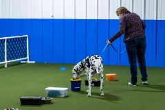 2022-March-Scent-Trial-192