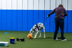 2022-March-Scent-Trial-193