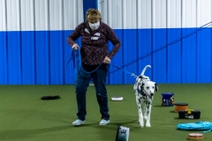 2022-March-Scent-Trial-194