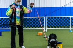 2022-March-Scent-Trial-202