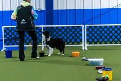 2022-March-Scent-Trial-203