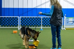 2022-March-Scent-Trial-212