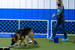 2022-March-Scent-Trial-213-2