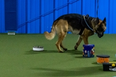 2022-March-Scent-Trial-220