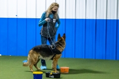 2022-March-Scent-Trial-221