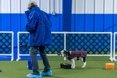 2022-March-Scent-Trial-226