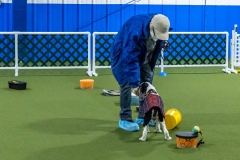 2022-March-Scent-Trial-231