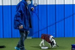 2022-March-Scent-Trial-237