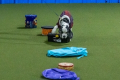 2022-March-Scent-Trial-238